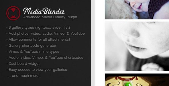 ایجاد گالری تصاویر در وردپرس با افزونه MediaBlender