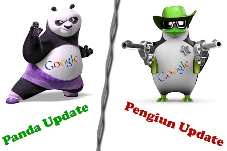 گوگل پاندا و گوگل پنگوئن چیست ؟